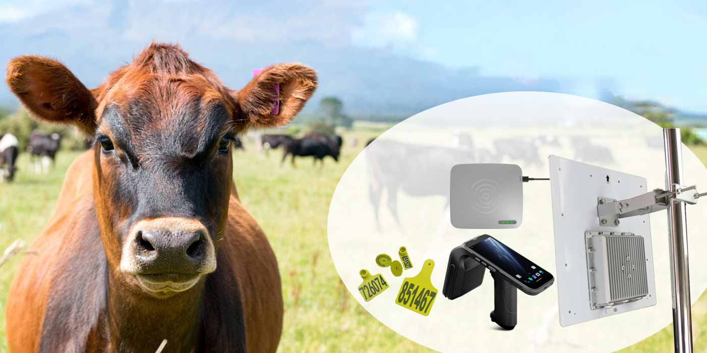 Cykeo livestock RFID Solution Products 1Smart Library Solution