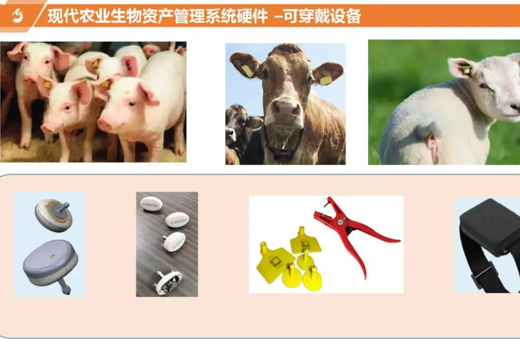 Cykeo RFID product application
