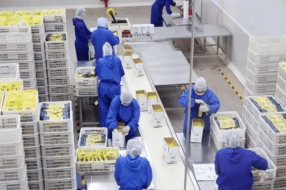 Cykeo Industrial RFID Core Technology Cykeo Industrial RFID Core Technology