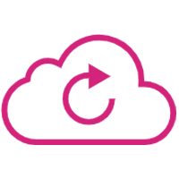 Enterprise Connectivity​