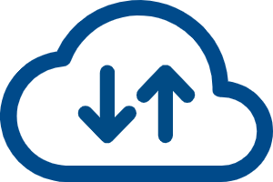 Bulk Data Processing​