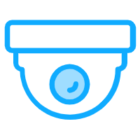 Dual-Camera Verification​
