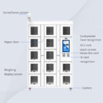 CK-GG1315 SMART WEIGHIN LOCKER（images 4）