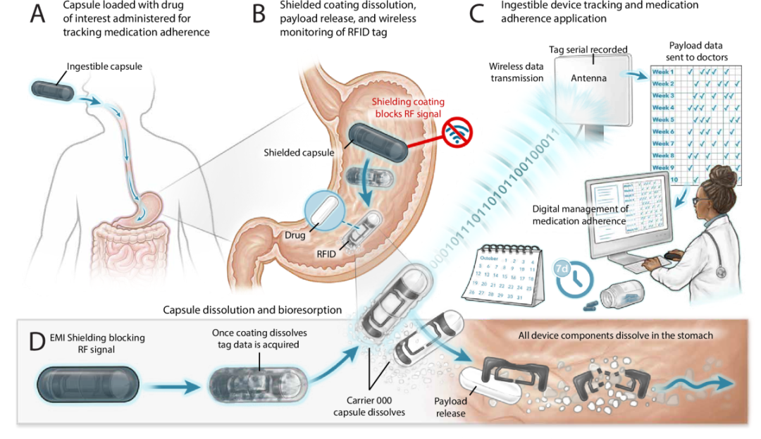 An MIT team has developed a biodegradable RFID capsule to record actual medication use. 1 An MIT team has developed a biodegradable RFID capsule to record actual medication use.(images 1)