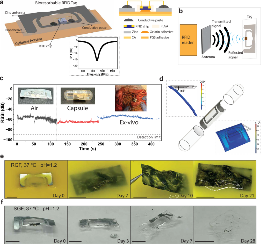 An MIT team has developed a biodegradable RFID capsule to record actual medication use. 2 An MIT team has developed a biodegradable RFID capsule to record actual medication use.(images 2)