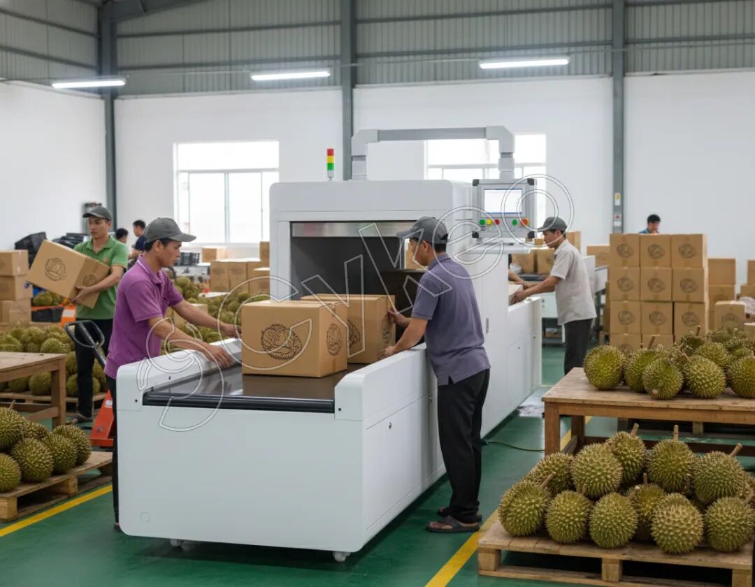 Vietnam Launches Durian Traceability Pilot: RFID Is Becoming the &ldquo;Infrastructure&rdquo; of Agricultural Products（images 4）