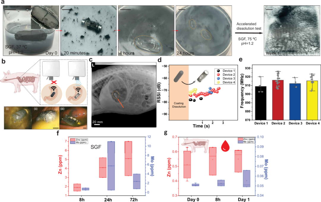 An MIT team has developed a biodegradable RFID capsule to record actual medication use. 4 An MIT team has developed a biodegradable RFID capsule to record actual medication use.(images 4)