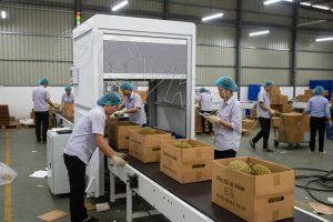 Vietnam Launches Durian Traceability Pilot: RFI...
