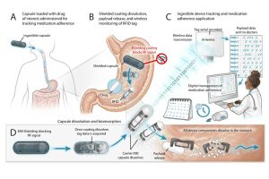 An MIT team has developed a biodegradable RFID ...