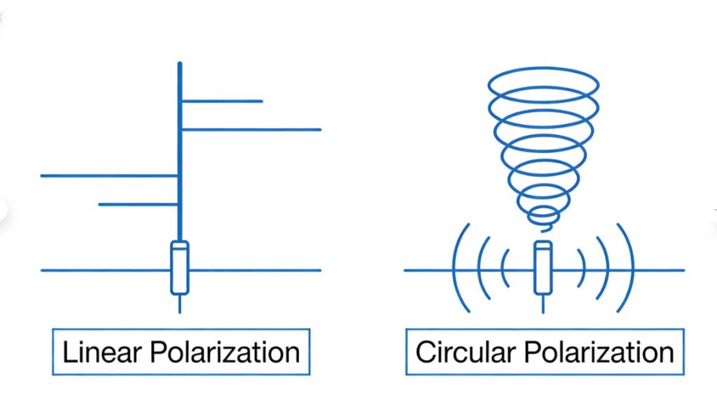 linear vs circular polarization diagram
